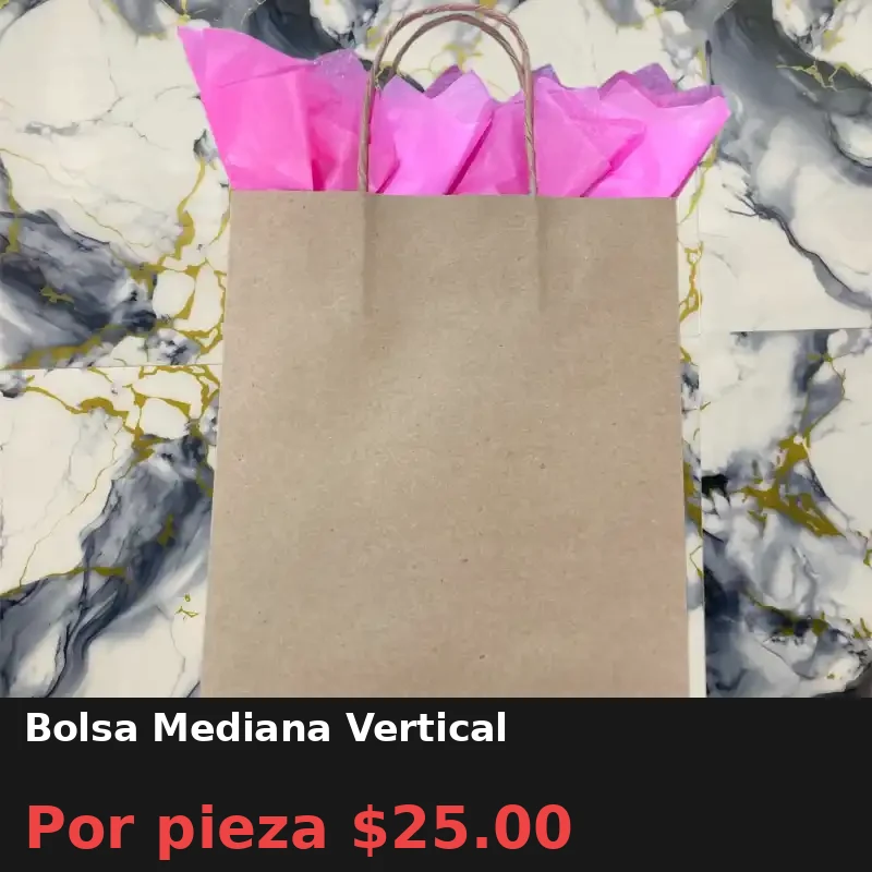 Bolsa Mediana Vertical