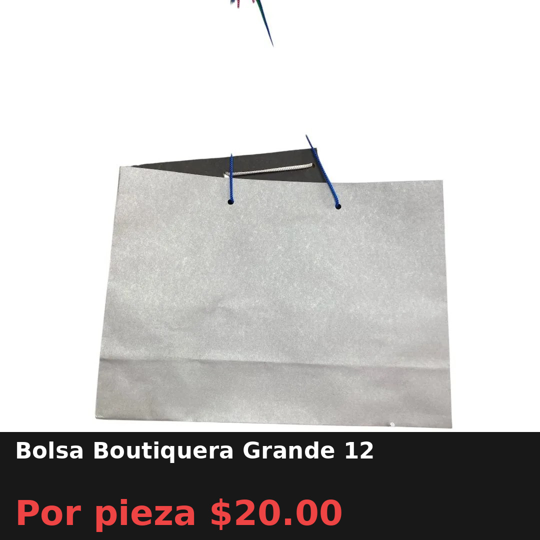 Bolsa Boutiquera Grande 12